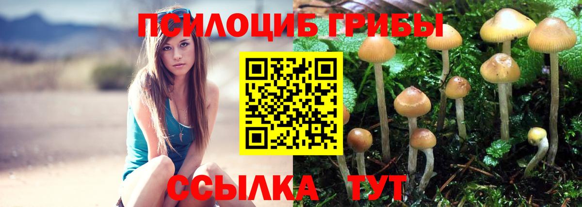Полевской  Псилоцибиновые грибы мухоморы  Вход с VPN  Галлюциногенные грибы прущие грибы 